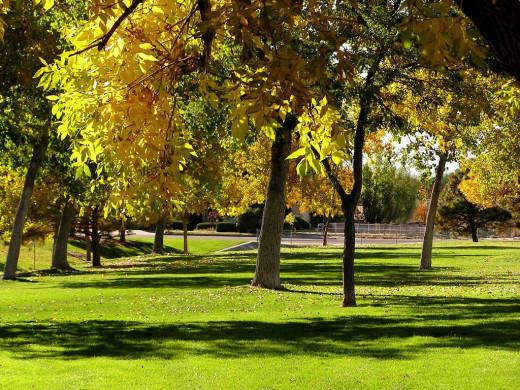 �34760 �������(a): ����������:1024x768